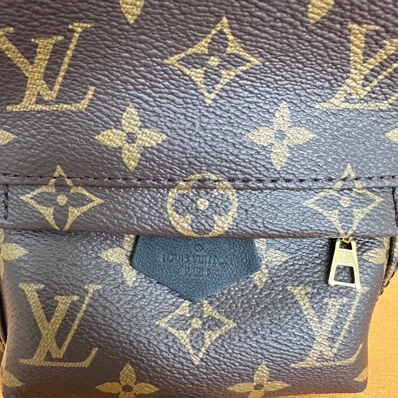 Louis Vuitton Palms Spring Mini - Picture 6 of 6